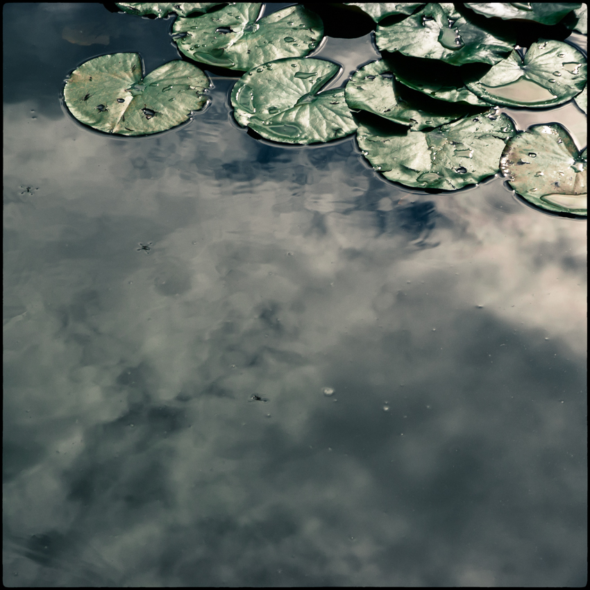 best-sum_03_1_028-2 copy